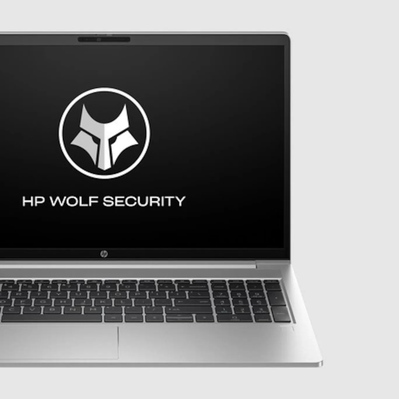 HP ProBook 455 G10 15,6