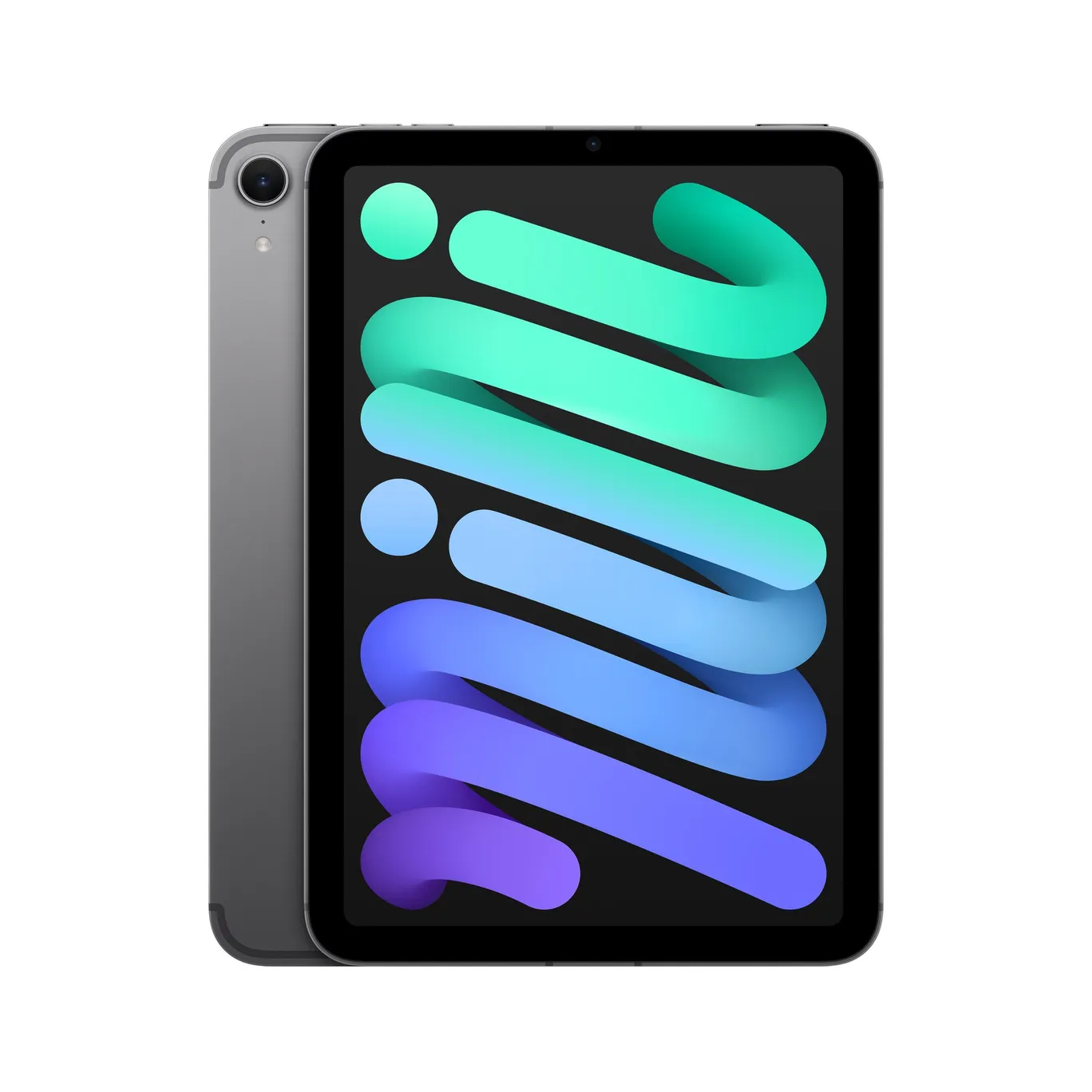 iPad本体 iPad mini 256gb wifi Apple 2021 iPad mini (8.3'', Wi-Fi, 256 GB) - Space Grau (6