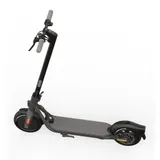 NINEBOT BY SEGWAY F20D 20 km/h, Electric Scooter, mit Straßenzulassung, bis zu 20 km Reichweite