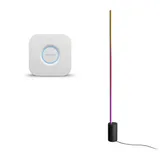 EDU: Philips Hue Gradient Signe Stehleuchte schwarz + Bridge V2