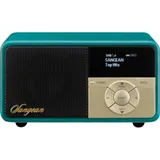 Sangean DDR-7X Portables DAB Radio Grün