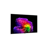 LG OLED55G67L Evo Smart TV Gallery Design UHD 120 Hz Fernseher
