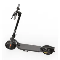 NINEBOT BY SEGWAY F20D 20 km/h, Electric Scooter, mit Straßenzulassung, bis zu 20 km Reichweite