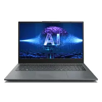 Medion E15443 MD62621 15,6" FHD Core Ultra 5 125H 16GB/512GB SSD Win11