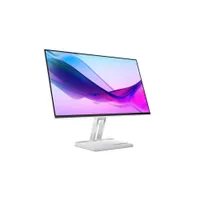 Lenovo L24i-4a 23.8 Zoll Full HD IPS LED 16:9 100 Hz Monitor