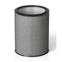 Dyson HEPA H-13 Filter