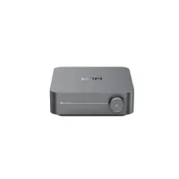 Wiim Amp Multiroom-Streaming-Verstärker mit Sprachsteuerung grau