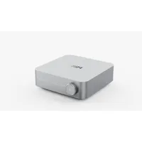 Wiim Amp Multiroom-Streaming-Verstärker mit Sprachsteuerung silber