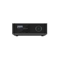 Wiim Amp Ultra High-End-Streaming-Verstärker silber
