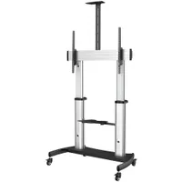 StarTech TV-Wagen - Fernsehständer mit Rollen für 60-100 Zoll-Displays (100kg)