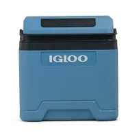 Igloo IE24 DC Thermoelektrische Kühlbox 24l