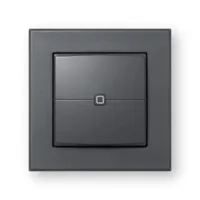 Homematic IP Wandtaster 2-fach HmIP-WRC2-A-2 schwarz