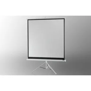 celexon Stativleinwand Economy 133 x 133 cm - White Edition 