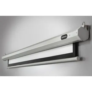 celexon Leinwand Motor Economy 300 x 169 cm 