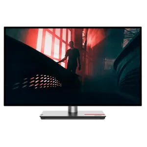Lenovo ThinkVision P27h-30 27 Zoll WQHD IPS Panel 16:9 Monitor
