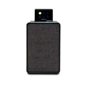 Pure Evoke Spot Kompaktes Musiksystem mit DAB+ und Internetradio, Coffee Black