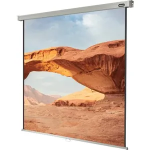 celexon Leinwand Rollo Professional 300 x 300 cm 