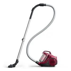 Rowenta Swift Power Cyclonic RO2933  