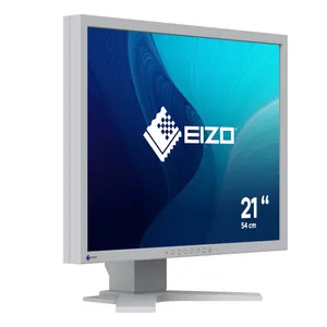 EIZO Flexscan S2134-GY 21 Zoll UXGA IPS Panel 4:3 Monitor