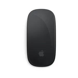 Apple Magic Mouse Schwarz - Multi-Touch - kabellos