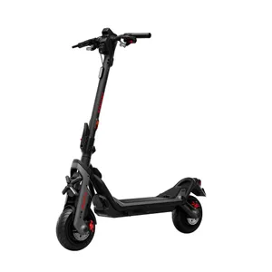Ninebot by Segway Superscooter GT3 D Elektroroller