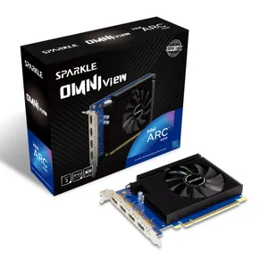 SPARKLE Intel Arc A310 OMNI View Grafikkarte 4 GB