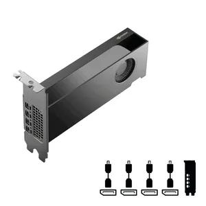 PNY NVIDIA RTX Pro 2000 Blackwell ProBox Grafikkarte 16 GB