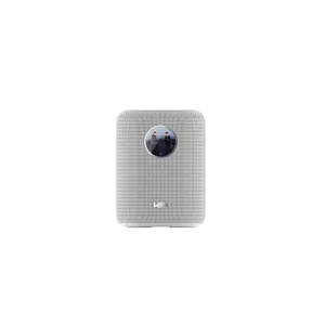 WiiM Sound Smart Speaker weiß