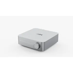 Wiim Amp Multiroom-Streaming-Verstärker mit Sprachsteuerung silber