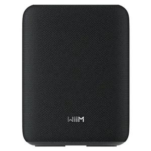 WiiM Sound LITE schwarz Smart Speaker Hi-Res Multiroom Lautsprecher