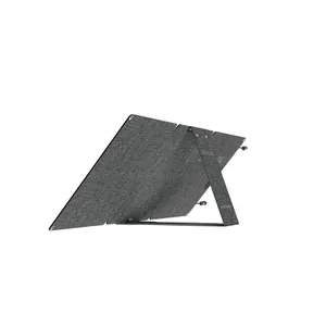 ECOFLOW 60W Solar Panel (Type-C) (0% MwSt. gem. § 12 Abs. 3 UStG)