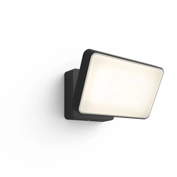 Philips Hue White & Color Amb. Discover LED Flutlicht, Schwarz, 2300lm