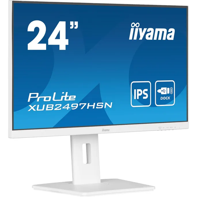 iiyama ProLite XUB2497HSN-W2