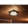 Philips Hue White and Color Ambiance Econic Outdoor quadratische Wandleuchte schwarz