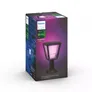 Philips Hue White and Color Ambiance Econic Outdoor Sockelleuchte schwarz