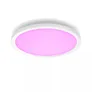 Philips Hue Surimu Runde Panelleuchte