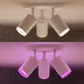 Philips Hue White and Color Ambiance Fugato weiß 3er-Spot