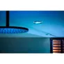 Philips Hue White and Color Ambiance Xamento Einbauspot silber