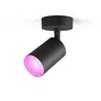 Philips Hue White and Color Ambiance Fugato schwarz 1er-Spot
