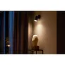 Philips Hue White and Color Ambiance Fugato schwarz 1er-Spot