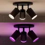 Philips Hue White and Color Ambiance Fugato schwarz 3er-Spot