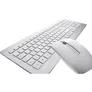 Cherry DW 8000 Maus-Tastaturkombination gelasert USB kabellos DE Layout silber