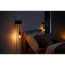 Philips Hue White E27 Einzelpack 1x550lm Filament