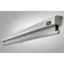 celexon Leinwand Rollo Professional 200 x 200 cm