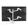 Ergotron LX Dual Monitorarm Tischhalterung erweiterbar auf bis 4 Monitore (weiß)