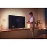 Philips Hue Play Gradient Lightstrip 75 Zoll + Go tragbare Tischleuchte