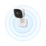 TP-LINK Tapo C100 - Netzwerk-Überwachungskamera - Farbe (Tag&Nacht)