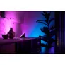 Philips Hue White & Col. Amb. Bloom Tischleuchte schwarz 500lm