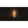 Philips Hue White & Col. Amb. Liane Wandleuchte weiß 900lm