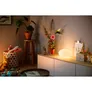 Philips Hue White & Col. Amb. Flourish Tischleuchte weiß 806lm